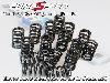 Single Spring Duratec valve spring set by piper