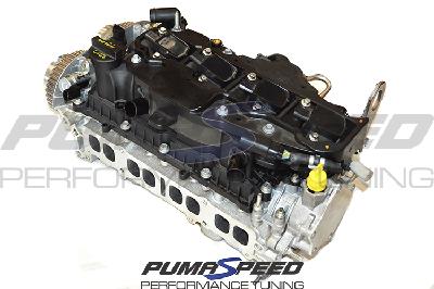 Pumaspeed Race Porting 1.6 EcoBoost Cylinder Head