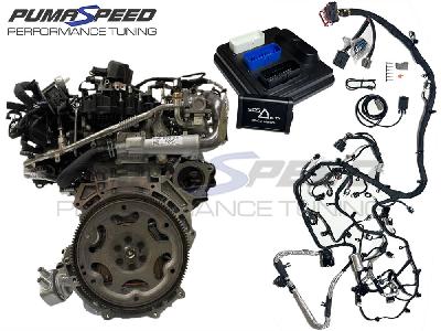 SCS Delta Plug 'n' Play Crate Engine Ford 2.3 Ecoboost 2019 Kit Car Package