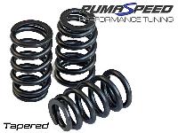 AREA-6 UPRATED ECOBOOST VALVE SPRING SET 16 