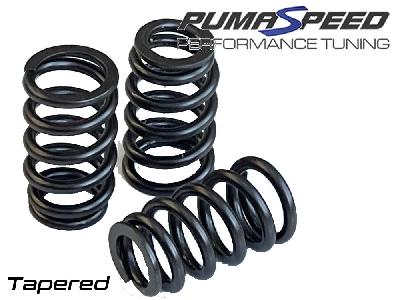 AREA-6 UPRATED DURATEC VALVE SPRING SET 16