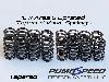 AREA-6 UPRATED ECOBOOST VALVE SPRING SET 16