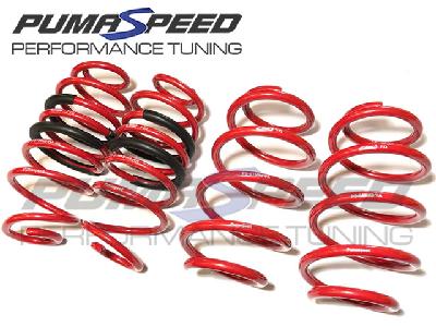 Eibach Redline Puma ST Special Edition Lowering Springs