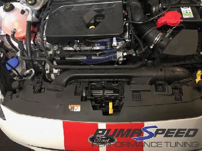 Fiesta ST Mk8 Dual Air Feed