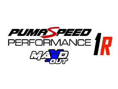 Pumaspeed 1.0 EcoBoost Stage 1R Tuning Package - 160bhp