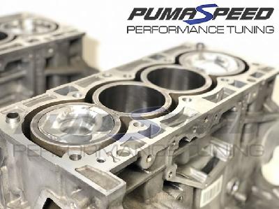 Brand New Ford 1.6 Ecoboost Short Motor - with Pumaspeed Block Mod