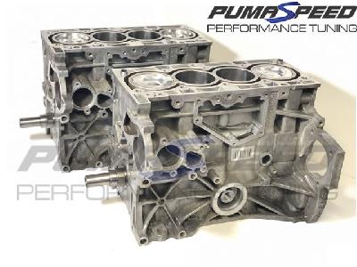 (#15) Pumaspeed Race Blue Top 1.6 EcoBoost Short Motor