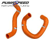  Pumaspeed Coolant Hose Kit - Fiesta ST Mk8