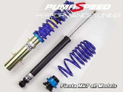AP Coilovers Suspension kit for Ford Fiesta Mk7