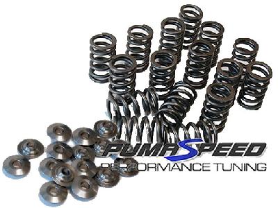 Piper Cams Focus RS Zetec Single Valve Spring Kit
