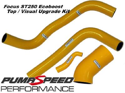 Focus ST250 Ecoboost 4 piece Silicon Top / Visual  Hose Set