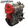 Pumaspeed Mk8 Fiesta ST 1.5T Red Top Engine