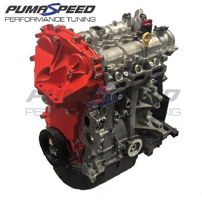 Pumaspeed Mk8 Fiesta ST 1.5T Red Top Engine