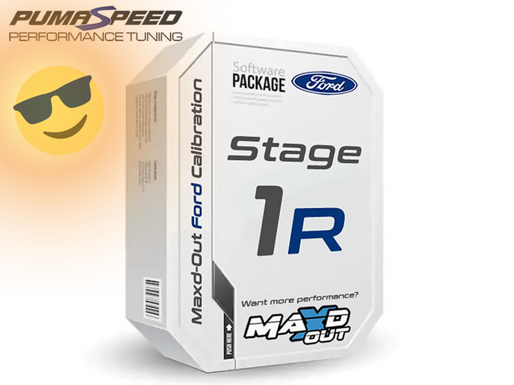 MAXD Stage 1R Fiesta ST180 Remap