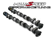 Pumaspeed Profiled Camshaft kit (190 PLUS)