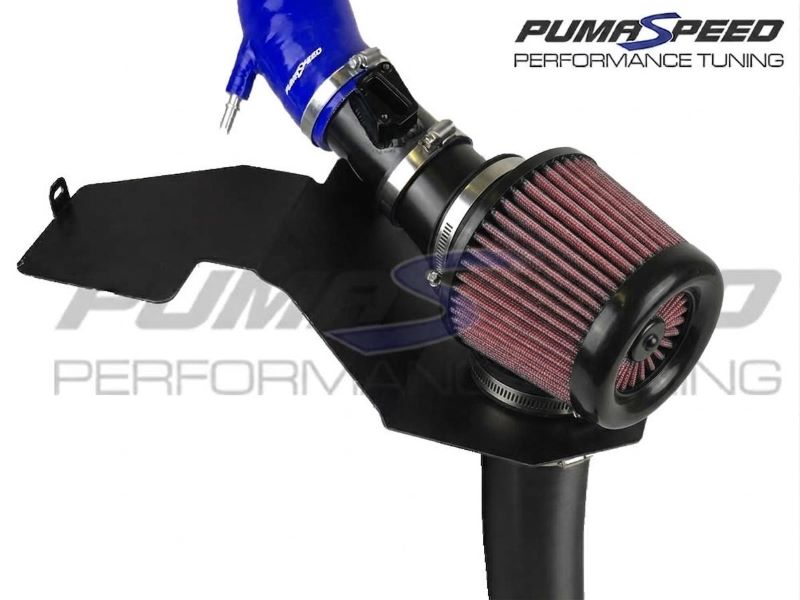 Pumaspeed ST180 Fiesta Mk7.5 Cold Air Induction System Gemini V3 4