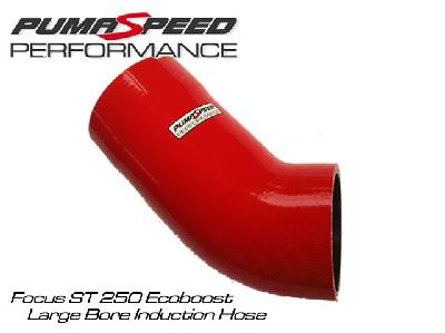 Ford Focus ST250 Smooth Silicon Induction Hose