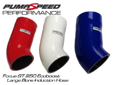 Ford Focus ST250 Smooth Silicon Induction Hose