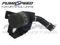 Fiesta ST Mk8 Pro Alloy Induction Kit