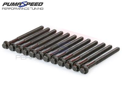 OE Spec Cylinder Head Bolts Focus ST225 and RS Mk2