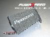 Pipercross Ford Focus Mk3 ST250 Cone Filter