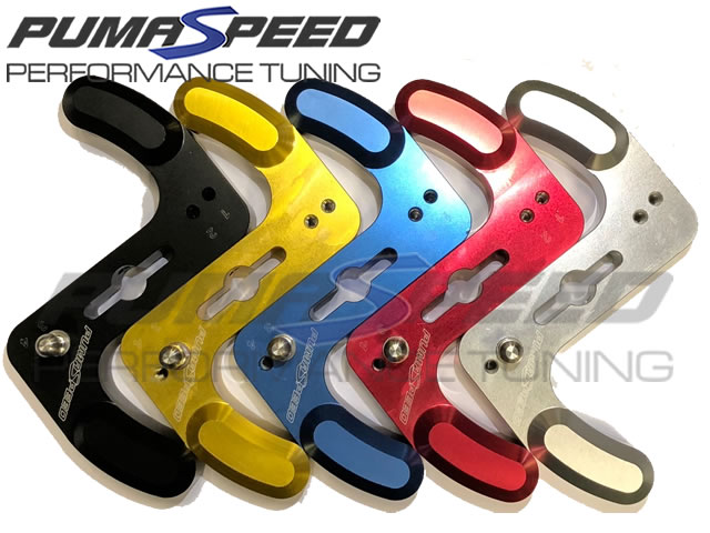 Pumaspeed focus st mk3 on sale