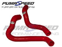 Pumaspeed Racing Fiesta ST180 Coolant Hose Kit