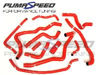  Pumaspeed Ancillary Hose Kit - Fiesta ST Mk8