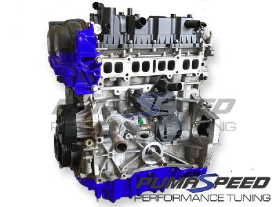 Pumaspeed 1.6 EcoBoost Blue Top Engine