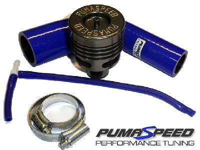 Pumaspeed Double Piston Dump Valve and Kit (5 cylinder)