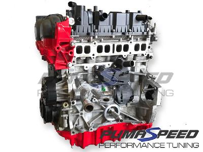Pumaspeed 1.6 EcoBoost Red Top Engine