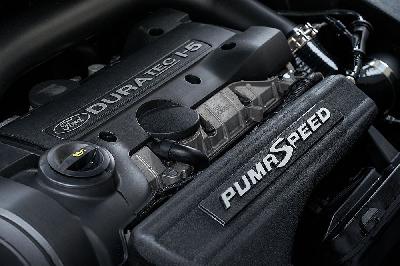 Pumaspeed Tapered Inlet Plenum Focus ST225 with Logo