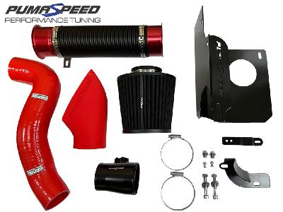 Pumaspeed Racing Gemini Twin Induction Kit Stage 3 - Mk8 1.0T Fiesta