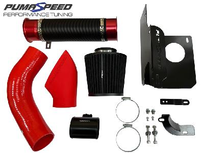 Pumaspeed Racing Gemini Twin Induction Kit Stage 3 - Mk8 ST 1.5T Fiesta