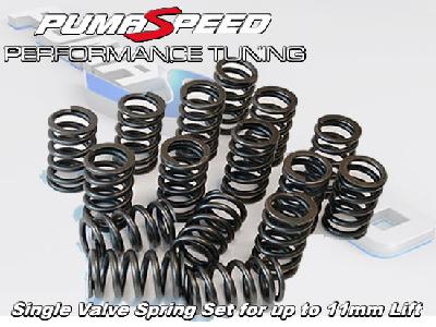 Piper Cams Duratec Single Valve Spring Set