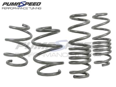 Whiteline Lowering Spring Kit Fiesta ST180 Mk7