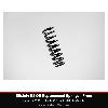 Bilstein B3 OE Replacement Springs - Front - BMW 1 Series 118d / 120d / 123d (E81 / E82 / E87)