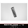 Bilstein B3 OE Replacement Springs - Front - VW Amarok 2.0 BiTDI