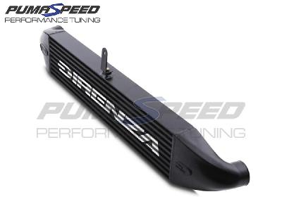 Direnza Ford Fiesta MK7 ST180 1.6 Ecoboost 13-18 - MVT Front Mount Intercooler Kit