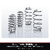 Eibach pro lift kit lift springs ford ranger raptor 3 0 v6 petrol ranger raptor 2 0 eco