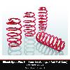 Eibach Sport-Plus Kit (Sportline Springs + Anti-Roll Bars) - Ford Mustang 5.0 V8