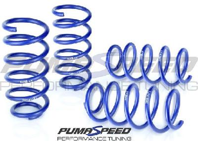 Fiesta Mk6 ST150 H&R 30mm Lowering Spring Set