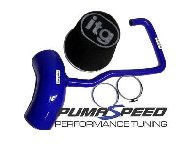 Fiesta ST150 Pumaspeed Induction kit