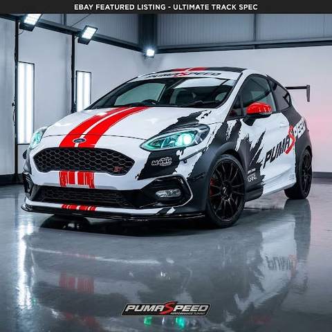 SCS Delta Fiesta Mk8 &ndash; 503bhp
