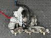 Ford Focus RS Mk2 Used Turbocharger (VERY GOOD CONDITION)