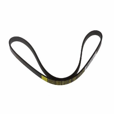Genuine Ford Focus ST225 and RS Mk2 Alternator Belt