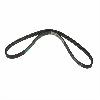 Genuine Ford Focus ST225 and RS Mk2 Auxiliary Drive Belt