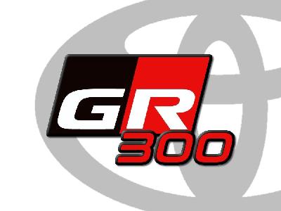GR Yaris - Pumaspeed 300bhp Power Package