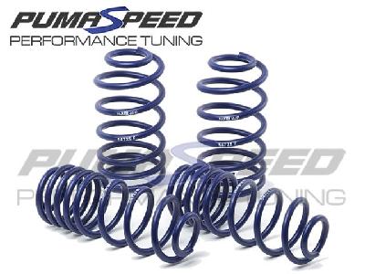 H&R 35mm Lowering Spring Set Fiesta ST180 Mk7