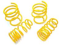 ST lowering Springs Focus RS Mk2 2009